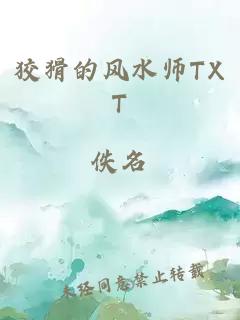 狡猾的风水师TXT