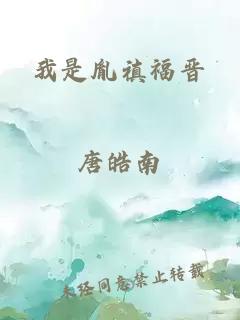 我是胤禛福晋