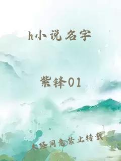 h小说名字