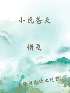 小说苍天