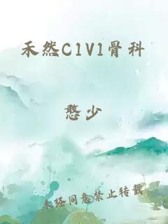 禾然C1V1骨科