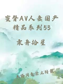 蜜臀AV人妻国产精品系列53