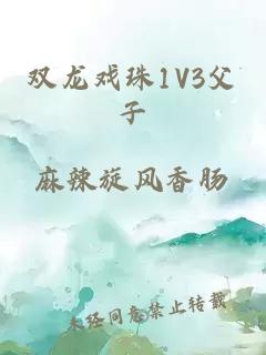 双龙戏珠1V3父子