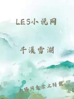 LES小说网