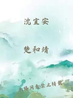 沈宜安