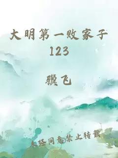 大明第一败家子123