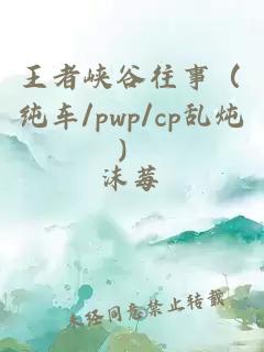 王者峡谷往事（纯车/pwp/cp乱炖）