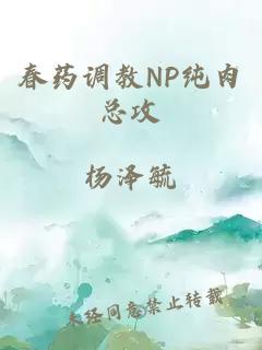 春药调教NP纯肉总攻