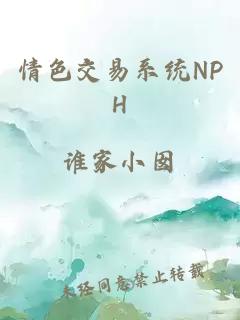 情色交易系统NPH