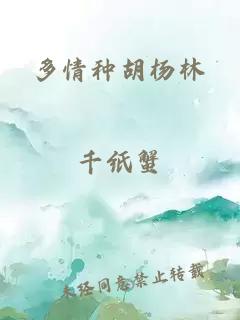 多情种胡杨林