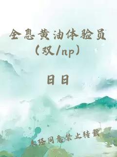 全息黄油体验员（双/np）